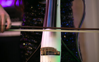 The Rise of Electric Strings in South Africa – a Melodic Revolution